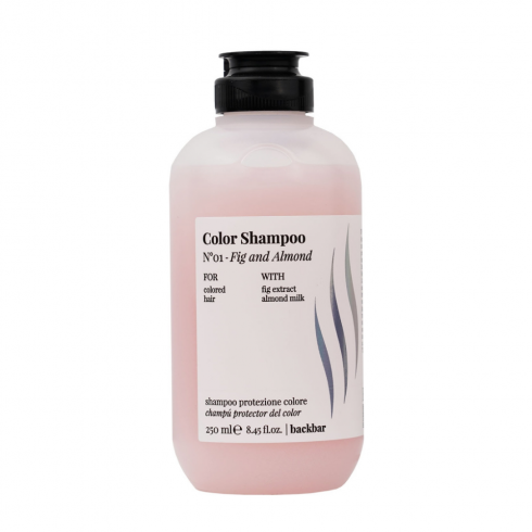 Шампунь для защиты цвета и блеска окрашенных волос Back Bar Color Shampoo №01, 250 мл